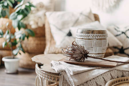 Selective focus on dry protea flower at bamboo coffee table in living room with blurred background. Home decor and wicker furniture in boho chic style interiorの写真素材