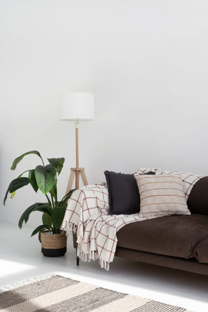 Side view of trendy apartment with couch, lamp and plant. Living room interior design with soft furniture. Pillows and blanket on sofa. New bright flatの写真素材