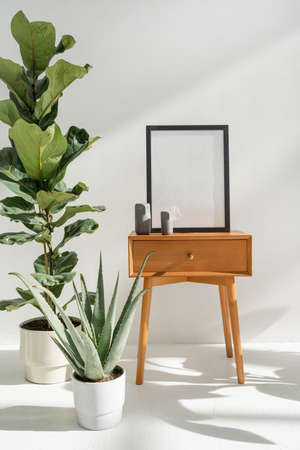 Concept of mockup art, home decor and growth houseplants in modern apartment. Vertical view of lyrata and aloe standing near picture frame with blank space on wooden table with drawerの写真素材
