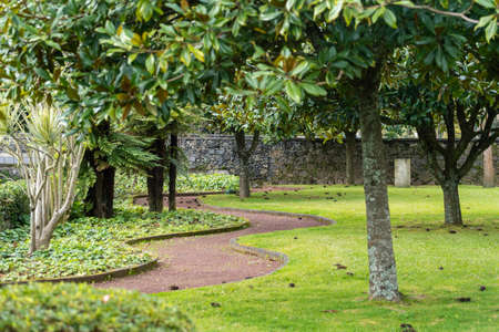 Landscaping design concept. Dirt road near tropical trees in the scenic botanical garden or public parkland. Private territory with exotic plants in beautiful park. Soil walkway on quiet backyardの写真素材