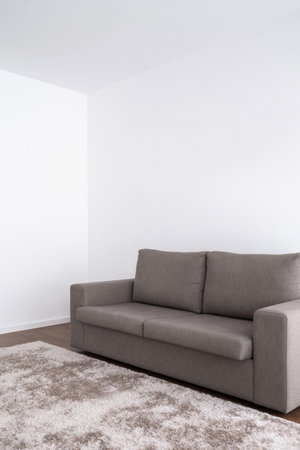 Vertical side view of comfortable gray sofa near white copy space wall and soft carpet on wooden...