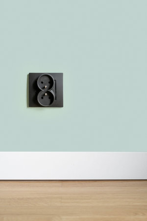 Vertical close up view of electrical socket in black frame on green wall in loft apartment over...