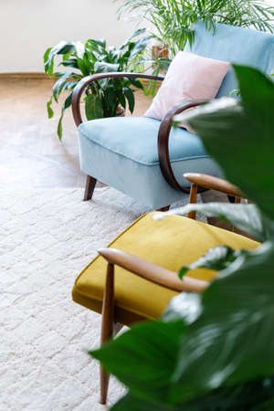 Part of retro armchairs on the white carpet floor. living room interior. Furniture design in the style of the 80s. Vintage lounge chairs in apartment with green houseplants. Plants with lush foliageの写真素材