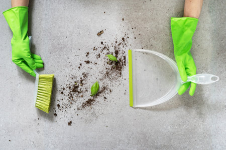 top view of female hands in green rubber gloves remove soil garbage with broom and plastic dustpan at home, cropped shot, housework conceptの写真素材