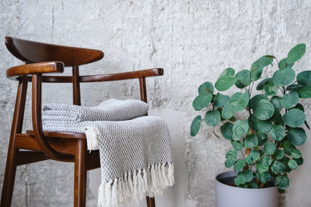 warm plaid folded on brown armchair in retro style and potted plant with green leaves in room with...