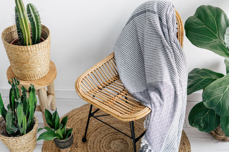 High angle view of soft and warm plaid on wicker armchair in cozy living room. Green potted houseplants on woven rug in comfortable house with boho chic interior designの写真素材