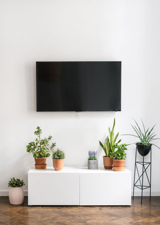 houseplants in ceramic pots on white sideboard and black tv screen hanging on wall in stylish room in apartment with modern interior, home decorationの写真素材