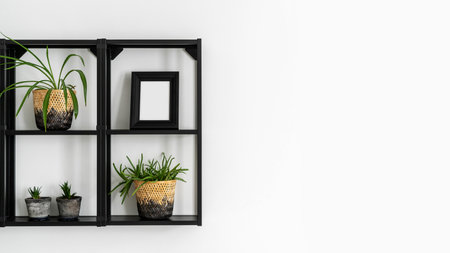template picture frame and houseplants on wall shelf for home decor at copy space white backgroundの写真素材