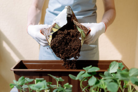 Woman in gloves pouring soil from a bag into a container for plants. Female gardener transplants...