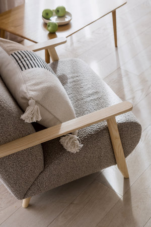 High angle view of cozy furniture and home decor in living room. Apartment furnished with a comfy grey armchair that perfectly complements the modern interior. Decorative cushion on chairの写真素材