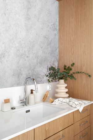 eco friendly natural cleaning tools and dishwashing soap in dispenser bottle on countertop near chrome mixer and white sink at modern kitchenの写真素材