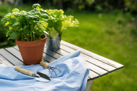 Concept of growing food on backyard. Potted basil and fresh lettuce salad on wooden table close to gardening tools. Kitchen herbs for cooking against blurred green backgroundの写真素材