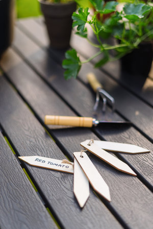 Growing red tomatoes on balcony. Selective focus on wooden labels with note, name and type of plant for saplings in pots. Concepts of gardening. Tools, seedlings and flowers on table, vertical shotの写真素材