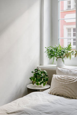 Cozy bedroom, comfort neatly made bed with bedding linen and decorative cushions, nightstand table with potted green plant and window in apartment with light interior. Scandinavian design in roomの写真素材