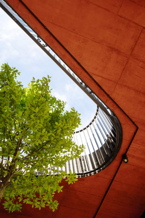 Concept of courtyard landscape and architectural design. Vertical shot of tree with green leaves grows in the center terrace or private territory with park of a modern building, vertical shotの写真素材