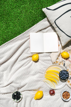 A white blanket laid out on green grass with empty pages in open book, fruits, melon sliced, lemons and a snack. Summer vacations, garden party, rest on backyard conceptsの写真素材