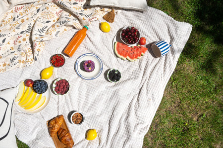 A picnic blanket spread out on the grass with various fruits, juice, and pastries. Concepts of spending summer time in garden or backyard, top viewの写真素材