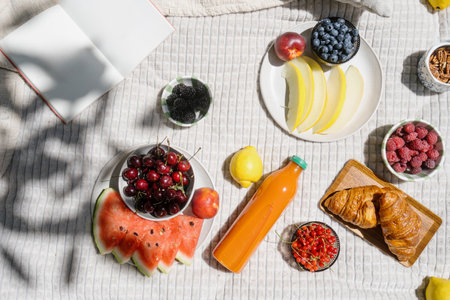 Flat lay of picnic blanket with plates of fruit, watermelon, melon and berries in the shade of trees. Croissant and juice, healthy food and refreshing drinks close to open book on blanket at summerの写真素材