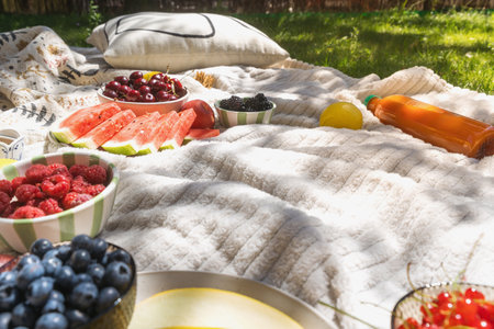 A picnic plaid spread on a grassy lawn with fresh fruit, including watermelon, berries, and a bottle of juice. Selective focus on copy space on blanketの写真素材
