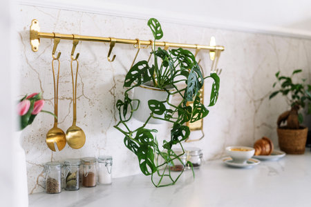 Hanging plants decorate a kitchen shelf equipped with utensils, cozy dining arrangement, glass jars, container with salt, pepper and spicesの写真素材