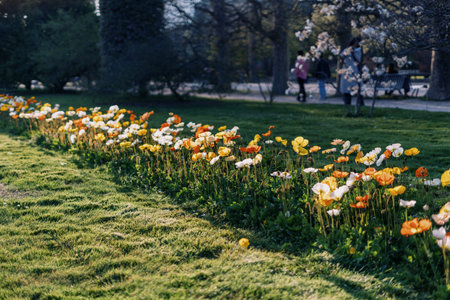 A vibrant row of blooming flowers in various colors brightens the spring garden as people stroll by, enjoying the natural beauty and peaceful atmosphere of the outdoor space.の写真素材