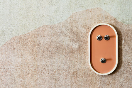 Light switches are featured on an oval orange plate with minimalistic design, installed on a beige textured copy space wall inside a modern apartment or houseの写真素材