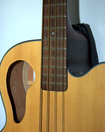 Acoustic bass guitar.