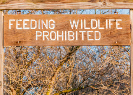 Feeding Wildlife Prohibited sign posted in a park.の写真素材