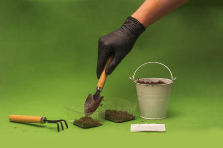man spread soil in pots for seedling growingの写真素材