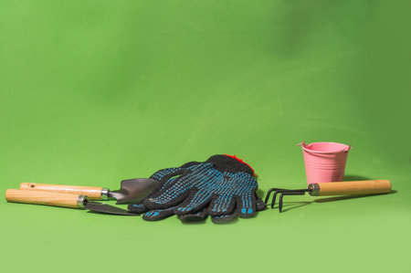 Gloves and home gardening tools on green backgroundの写真素材