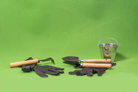 latex gloves and home gardening tools on green backgroundの写真素材
