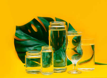 Monstera leaf distorted through glasses with waterの写真素材