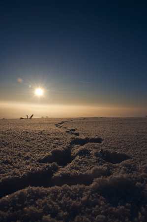 sunsetの写真素材