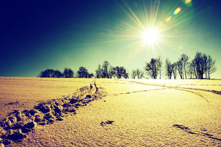 Winter