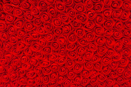 many red small roses background. texture, pattern, element for designの写真素材