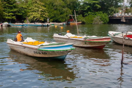 boats for river safari on the pier. tropical Madu river. mooring operation. Balapitiya, Sri Lankaのeditorial素材