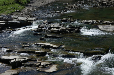 Wild mountain river. Water stream over stones. Mountain river close up. River Prut in the Carpathian...
