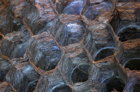 Bee Hive Macroの写真素材