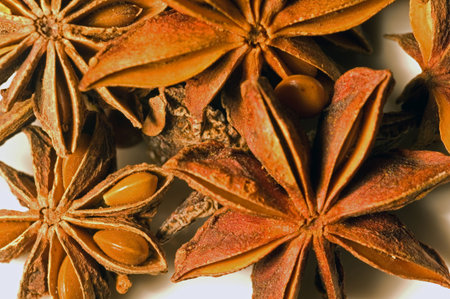 Macro shot of Star Anise