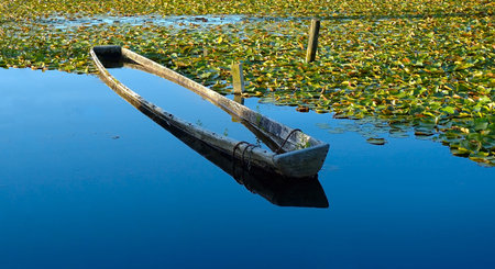 Dugout Canoe