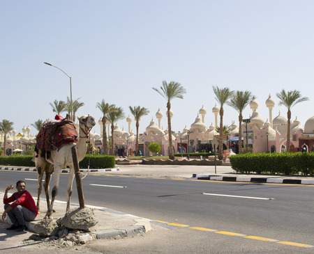 The camel is tied to the pillar and its master smokes in the shadeのeditorial素材