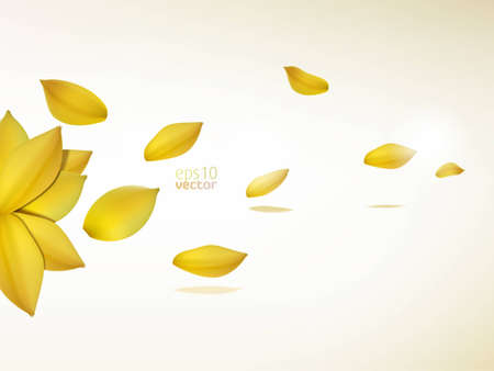 Yellow flower petals on a wind / backgroundのイラスト素材