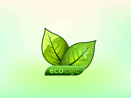Two green ecology leaves with droplets with plate for text placement のイラスト素材