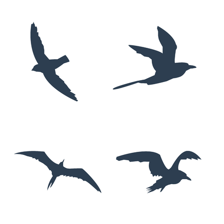 Flying birds icons.のイラスト素材