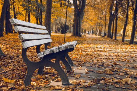 Horizontal photo of empty white wooden bench in autumnal park with people walking in the backgroundの写真素材