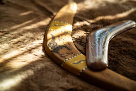 Two old boomerangs laying on the kangaroo skin, fur with wooden glossy table in the background. Souvenirs from Australia on display, shallow depth of field, warm colorsの写真素材