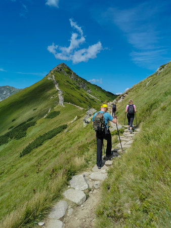 Group of people visible from the rear hiking the Polish Tatra mountains, vertical photo