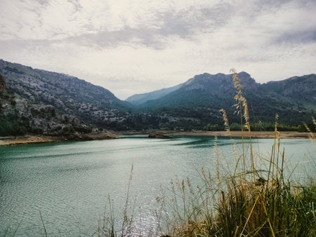 Peaceful mountain lake scene showcasing calm waters, lush greenery, and expansive blue sky. Ideal...