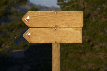 wood billboard blank, just add your textの写真素材