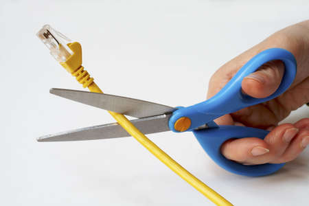 Network cable cuttingの写真素材